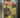 Batman #439 D.C. Comics, 9/89 CGC 9.8 - Nightwing appearance