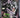 Batman: The Killing Joke #NN CGC 9.2 - DC Comics 1988
